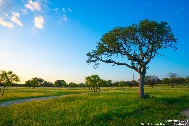 Image 9 of 14 For 0 Golden Hour Ranch