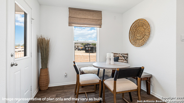 Image 8 of 25 For 2209 Organ Pipe Cactus