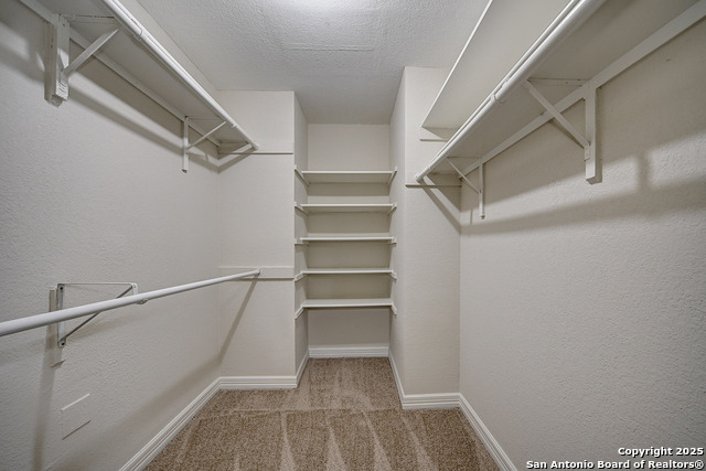 Image 20 of 38 For 7543 Beaver Tree