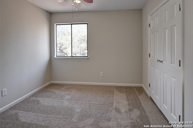 Image 27 of 38 For 7543 Beaver Tree