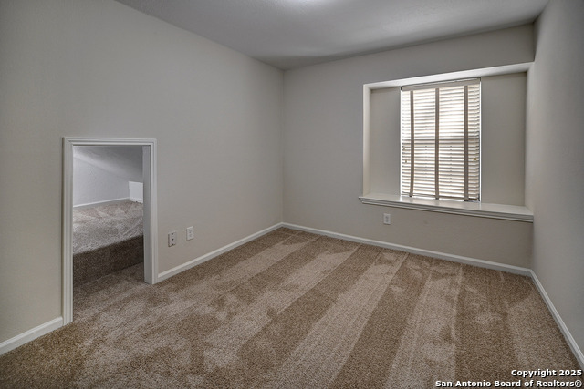 Image 31 of 38 For 7543 Beaver Tree