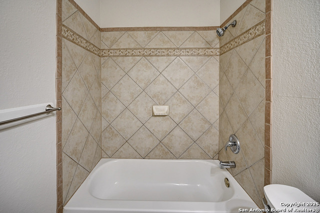 Image 34 of 38 For 7543 Beaver Tree