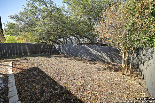 Image 38 of 38 For 7543 Beaver Tree