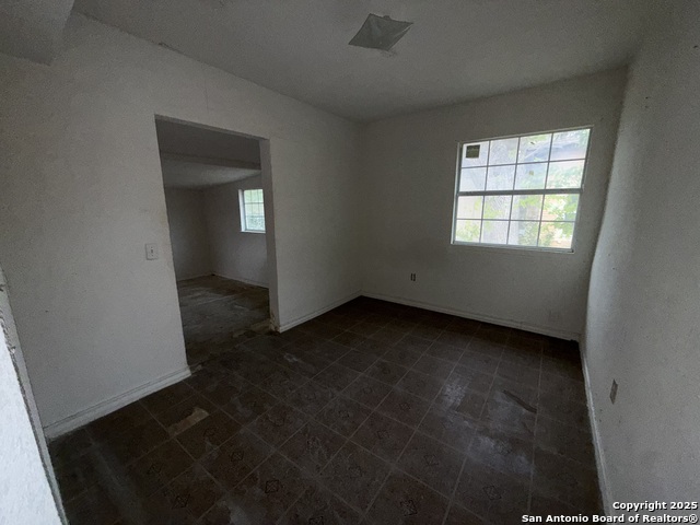 Image 14 of 16 For 2604 Chihuahua