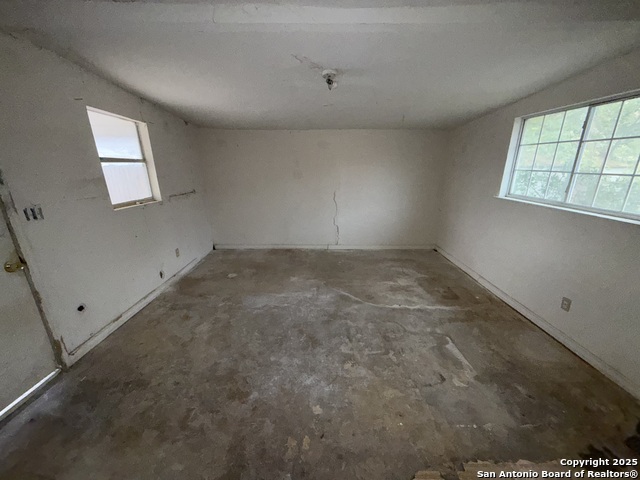 Image 16 of 16 For 2604 Chihuahua