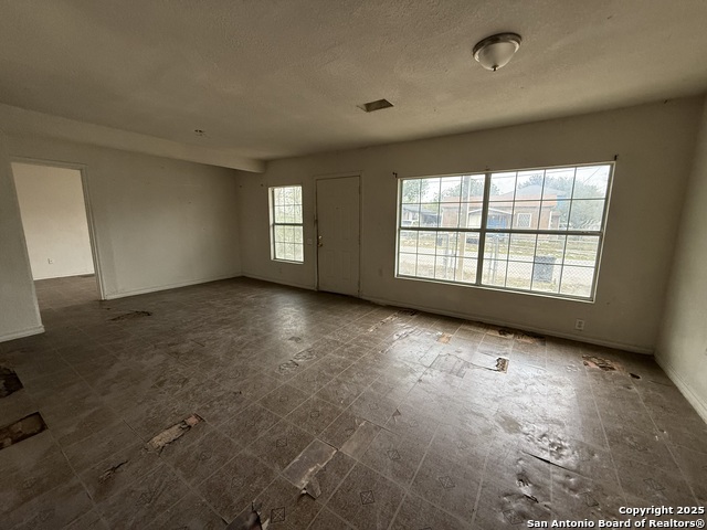 Image 7 of 16 For 2604 Chihuahua