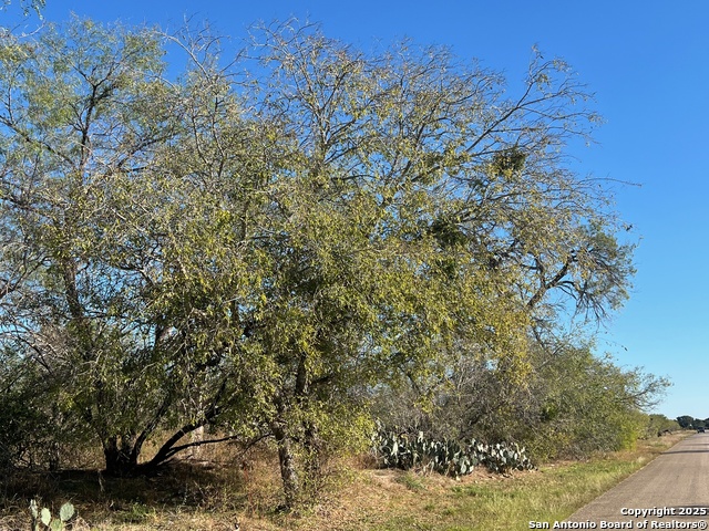 Details for 0 Red Barn  , Poteet, TX 78065