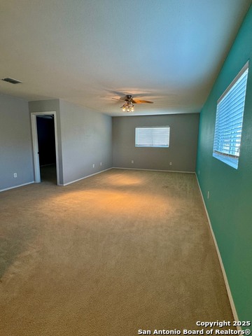 Image 18 of 28 For 232 Weeping Willow