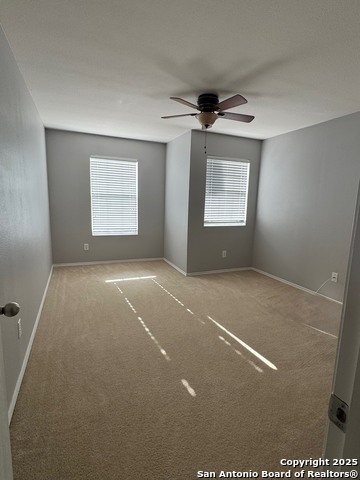 Image 20 of 28 For 232 Weeping Willow