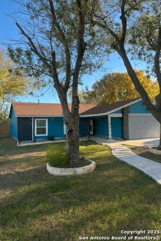 Image 12 of 14 For 7906 Herder Cir