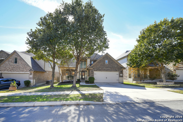 Image 2 of 32 For 12510 Red Maple