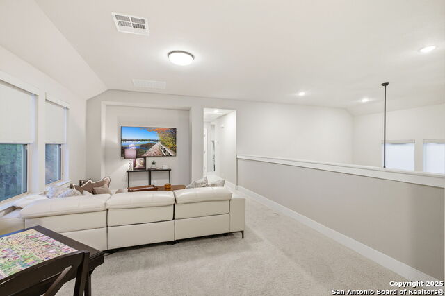 Image 26 of 58 For 1651 Gruene Grass