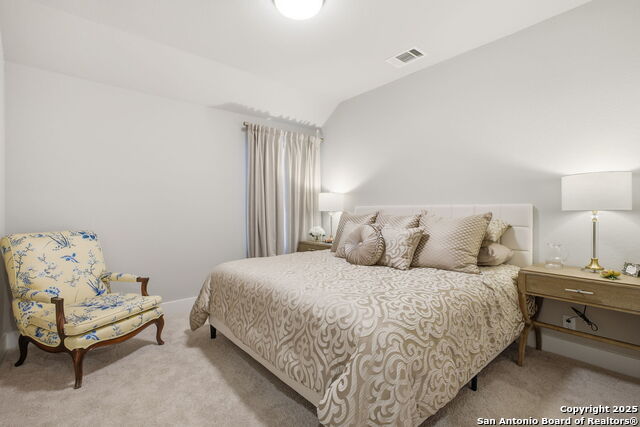 Image 29 of 58 For 1651 Gruene Grass