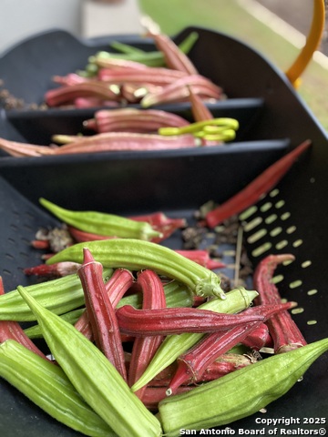 Image 35 of 58 For 1651 Gruene Grass