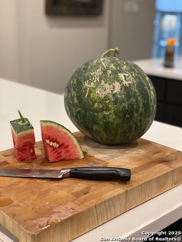 Image 36 of 58 For 1651 Gruene Grass