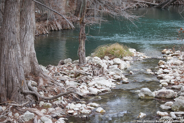 Image 53 of 58 For 1651 Gruene Grass