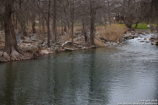 Image 54 of 58 For 1651 Gruene Grass