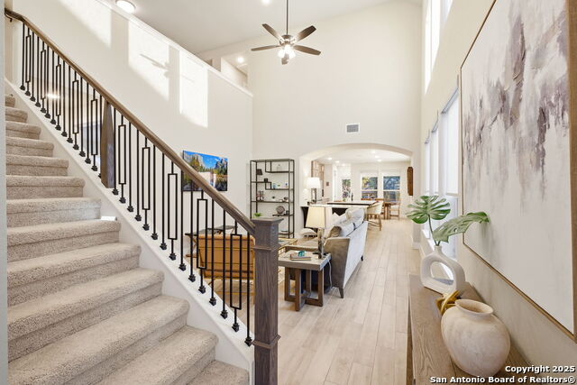 Image 9 of 58 For 1651 Gruene Grass