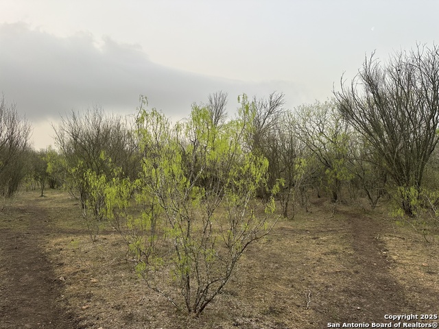 Image 2 of 5 For 982 Ilka Switch