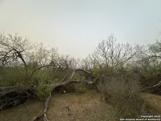 Image 4 of 5 For 982 Ilka Switch