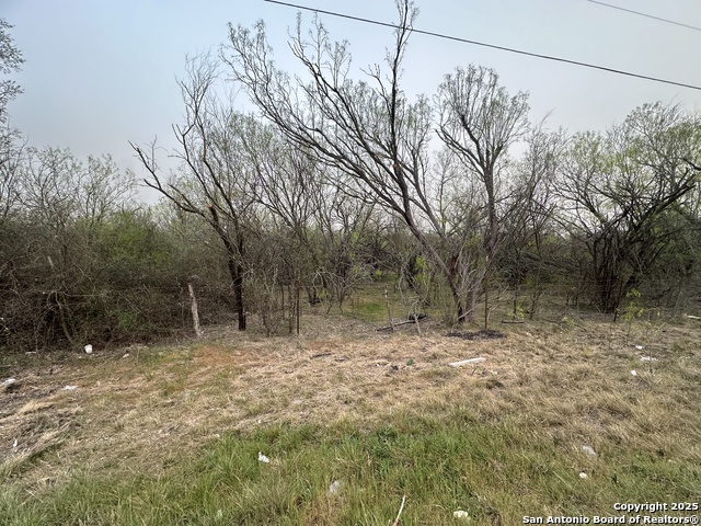 Image 5 of 5 For 982 Ilka Switch