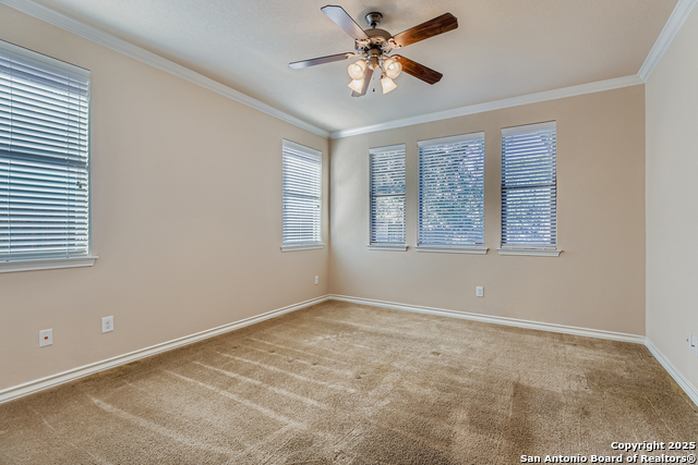 Image 15 of 43 For 23311 Oak Cliff