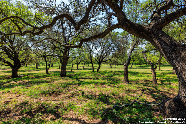 Details for 1114 Meadowlark Driv, Fredericksburg, TX 78624