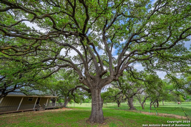Image 5 of 17 For 1114 Meadowlark Driv