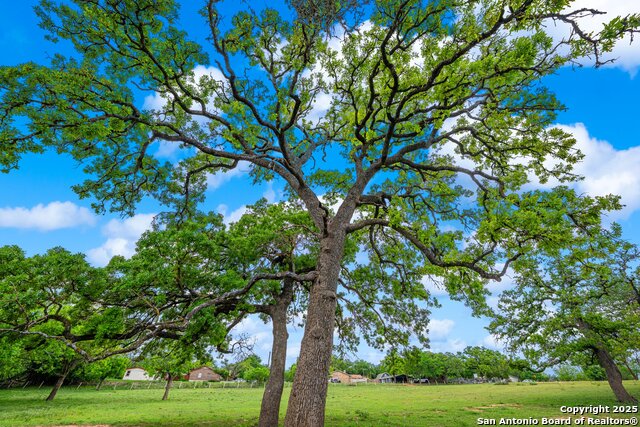 Image 6 of 17 For 1114 Meadowlark Driv