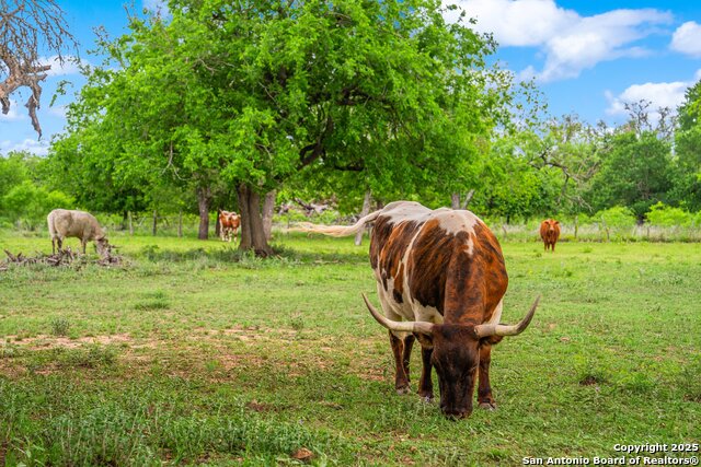 Image 7 of 17 For 1114 Meadowlark Driv