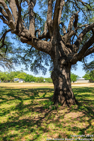 Image 8 of 17 For 1114 Meadowlark Driv
