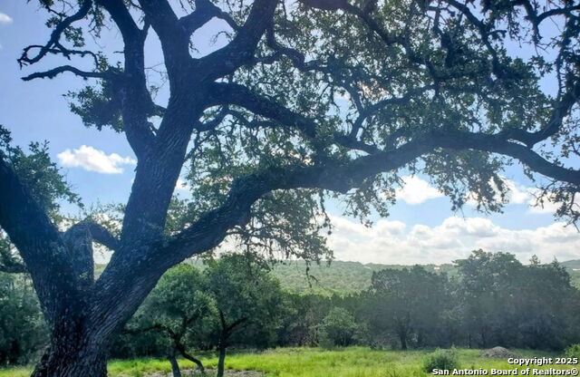 Details for 12033 Summer Meadows, Spring Branch, TX 78070