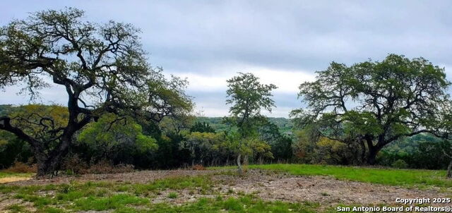 Image 11 of 17 For 12033 Summer Meadows