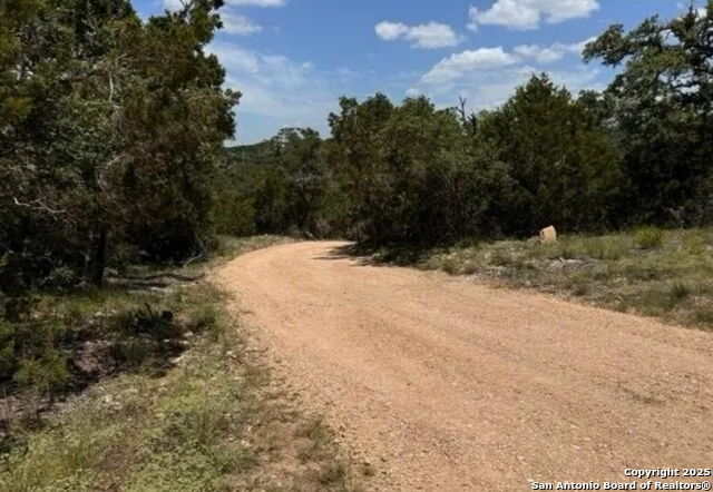 Image 14 of 17 For 12033 Summer Meadows