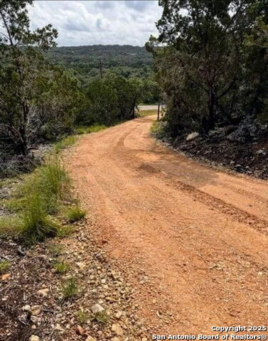 Image 16 of 17 For 12033 Summer Meadows