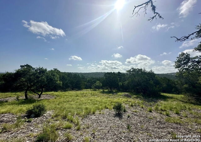 Image 2 of 17 For 12033 Summer Meadows