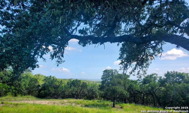 Image 4 of 17 For 12033 Summer Meadows