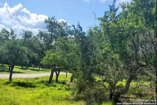 Image 7 of 17 For 12033 Summer Meadows