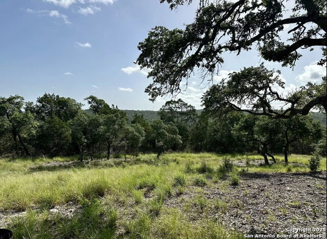 Image 9 of 17 For 12033 Summer Meadows