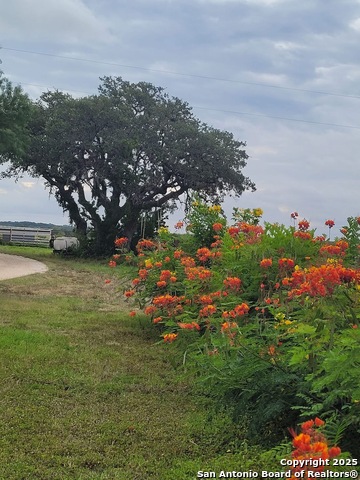 Image 5 of 12 For 3707 State Highway 173 N S