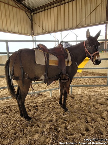 Image 6 of 12 For 3707 State Highway 173 N S