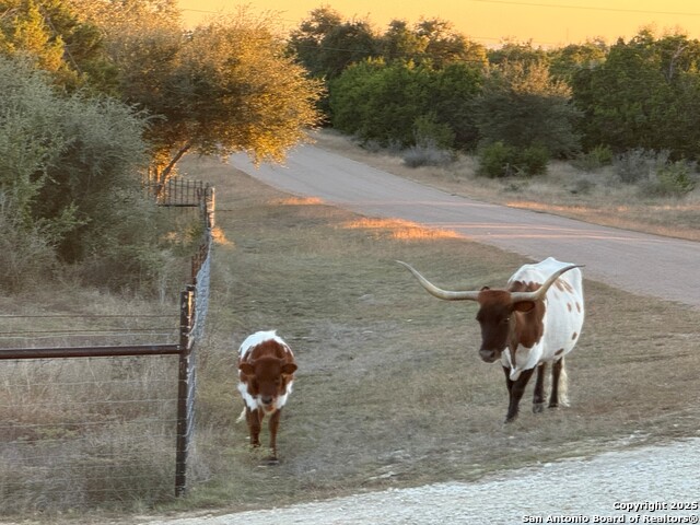 Listing photo id 39 for 1041 Homestead Ridge
