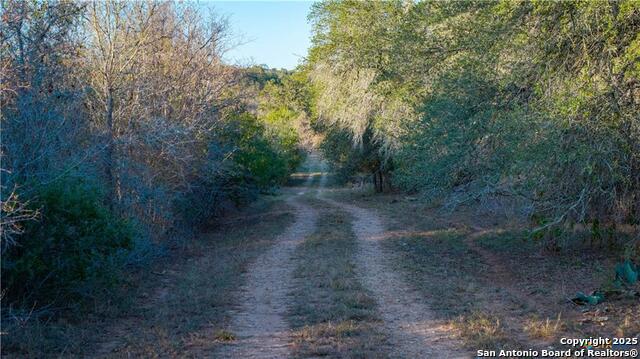 Image 17 of 48 For 15145 Alternate 90