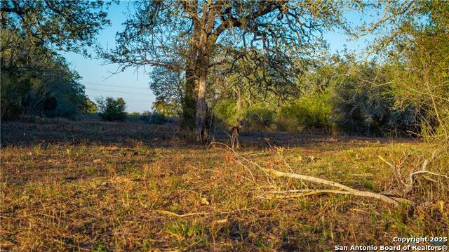 Image 22 of 48 For 15145 Alternate 90