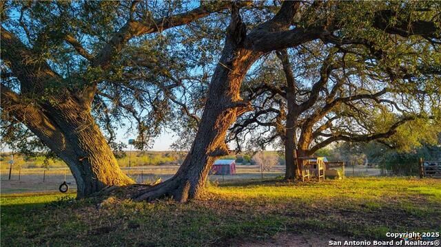 Image 24 of 48 For 15145 Alternate 90