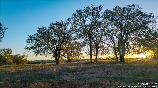 Image 27 of 48 For 15145 Alternate 90