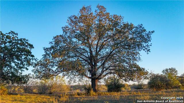 Image 28 of 48 For 15145 Alternate 90