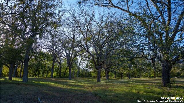 Image 36 of 48 For 15145 Alternate 90