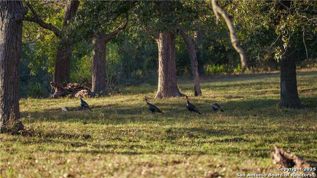 Image 39 of 48 For 15145 Alternate 90