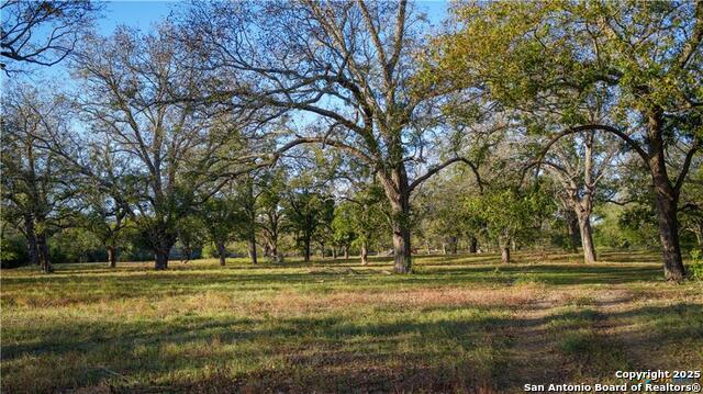 Image 40 of 48 For 15145 Alternate 90